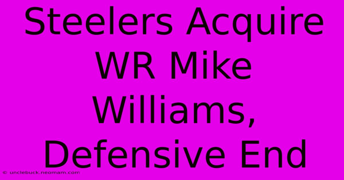 Steelers Acquire WR Mike Williams, Defensive End