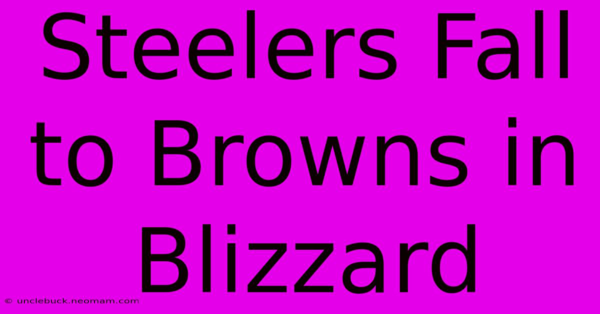 Steelers Fall To Browns In Blizzard