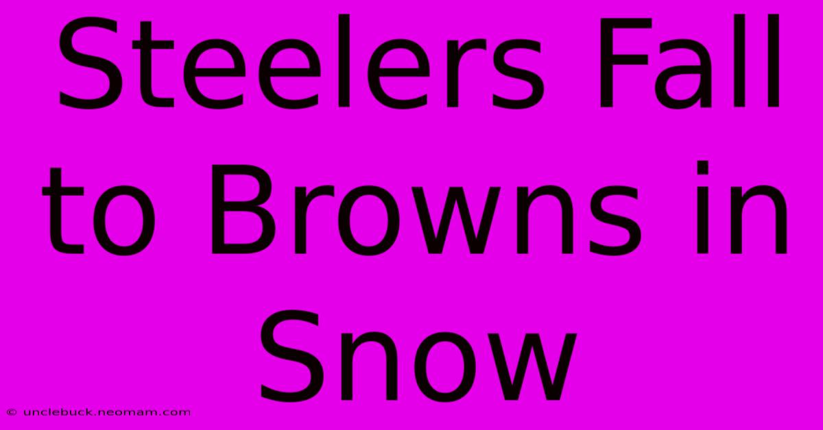 Steelers Fall To Browns In Snow