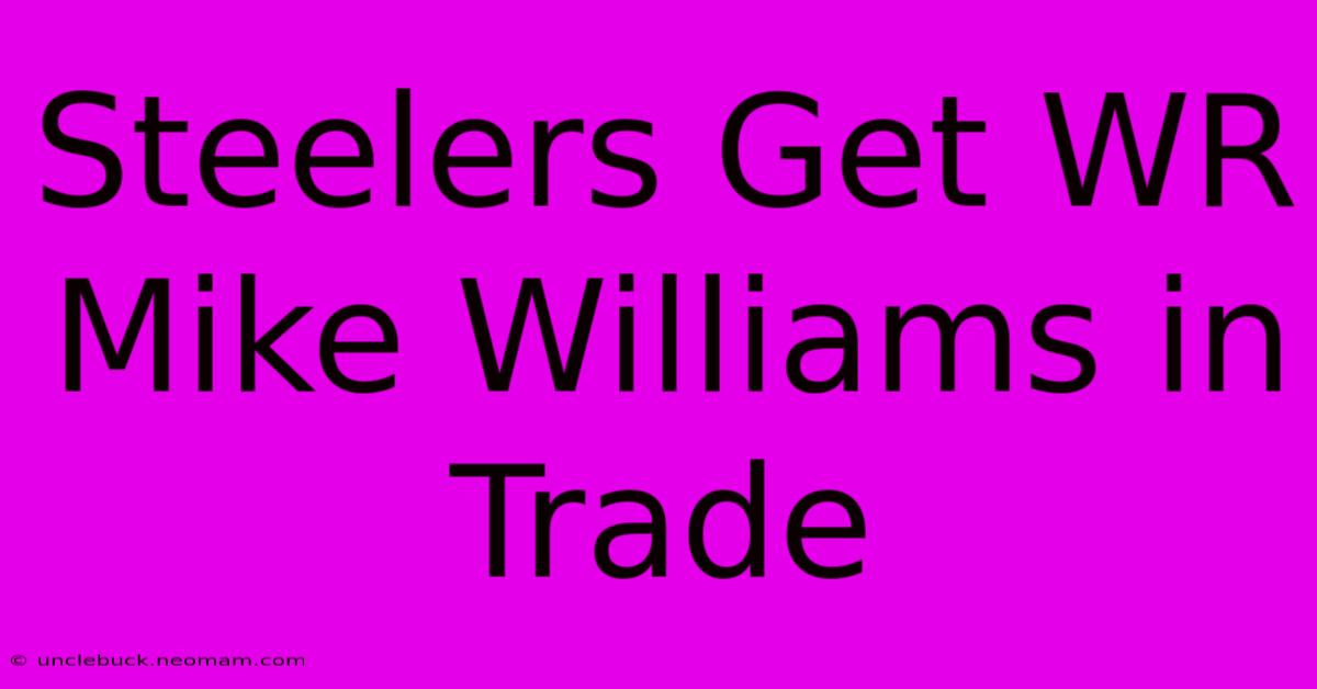 Steelers Get WR Mike Williams In Trade 