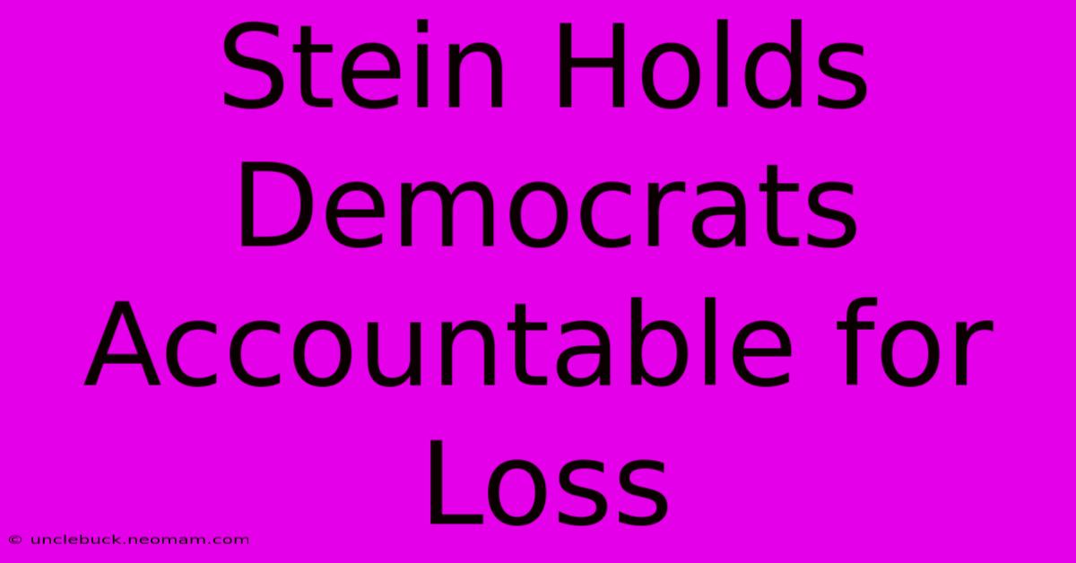 Stein Holds Democrats Accountable For Loss 