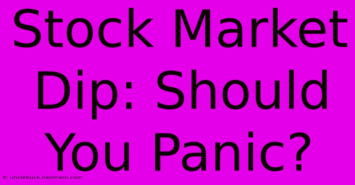 Stock Market Dip: Should You Panic?