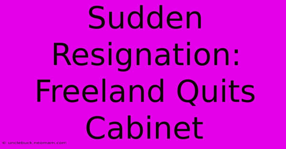 Sudden Resignation: Freeland Quits Cabinet