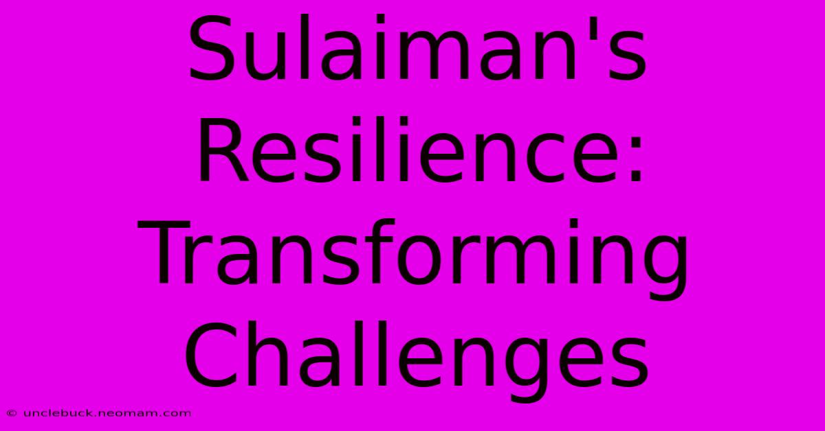 Sulaiman's Resilience: Transforming Challenges