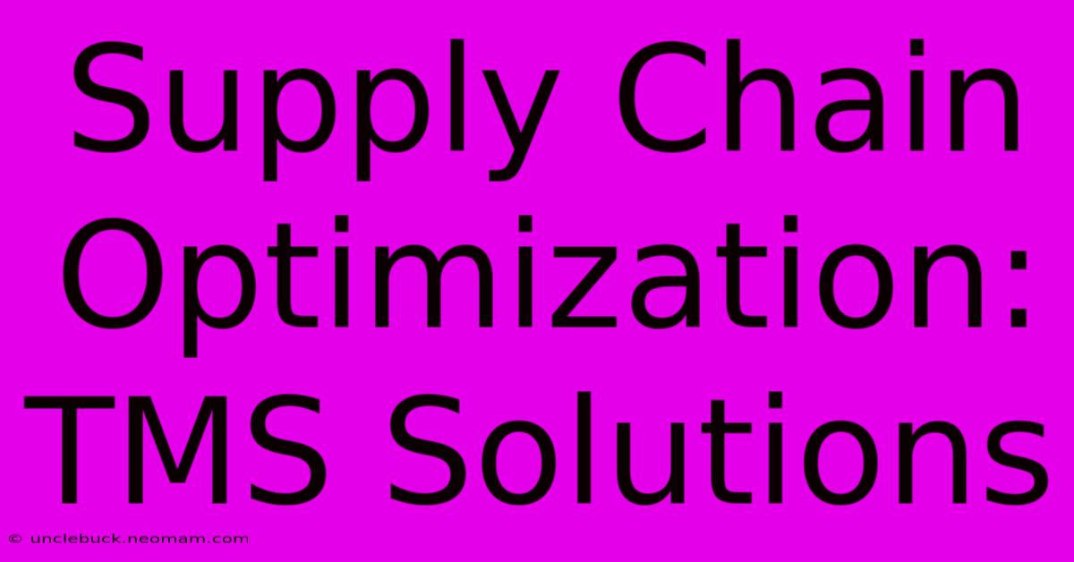 Supply Chain Optimization: TMS Solutions 