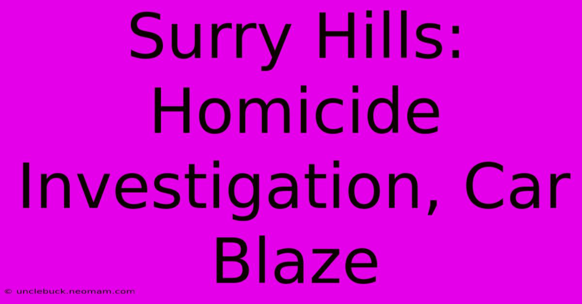 Surry Hills: Homicide Investigation, Car Blaze