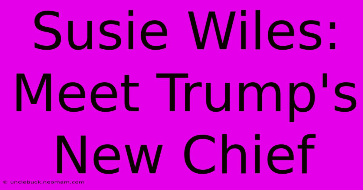 Susie Wiles: Meet Trump's New Chief