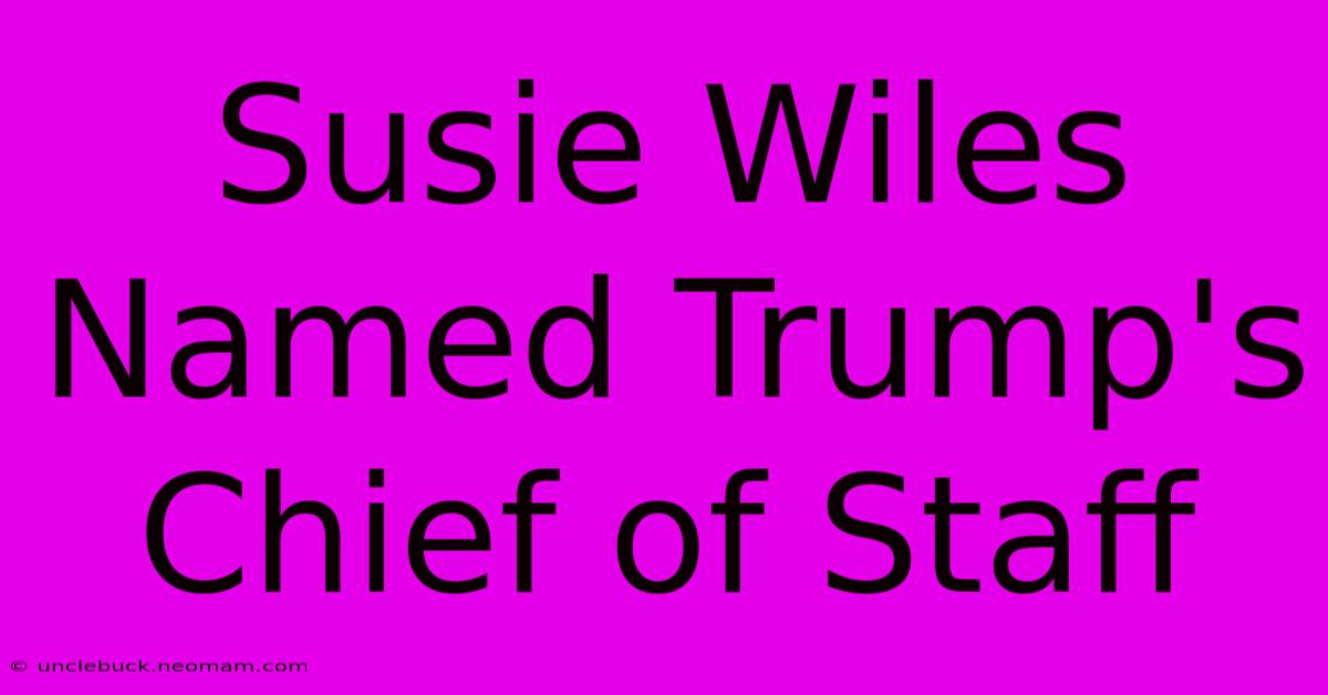 Susie Wiles Named Trump's Chief Of Staff 