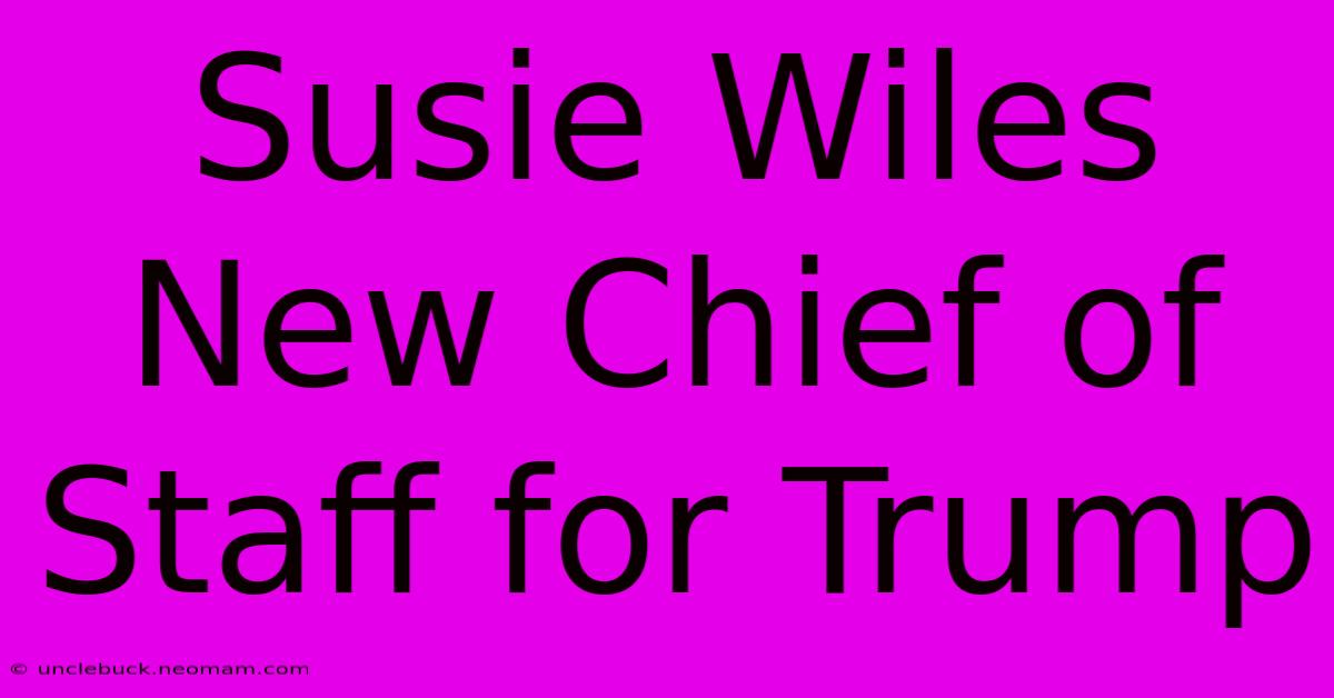 Susie Wiles New Chief Of Staff For Trump