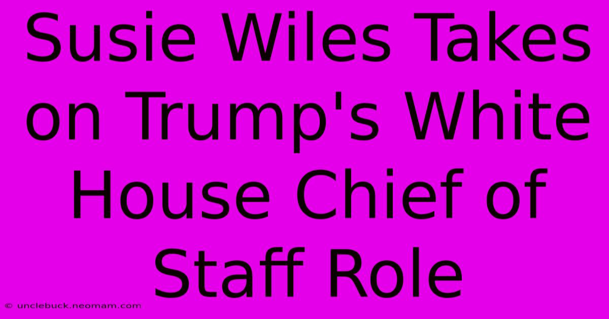 Susie Wiles Takes On Trump's White House Chief Of Staff Role