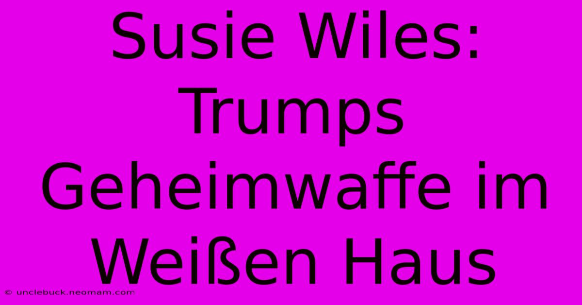 Susie Wiles: Trumps Geheimwaffe Im Weißen Haus