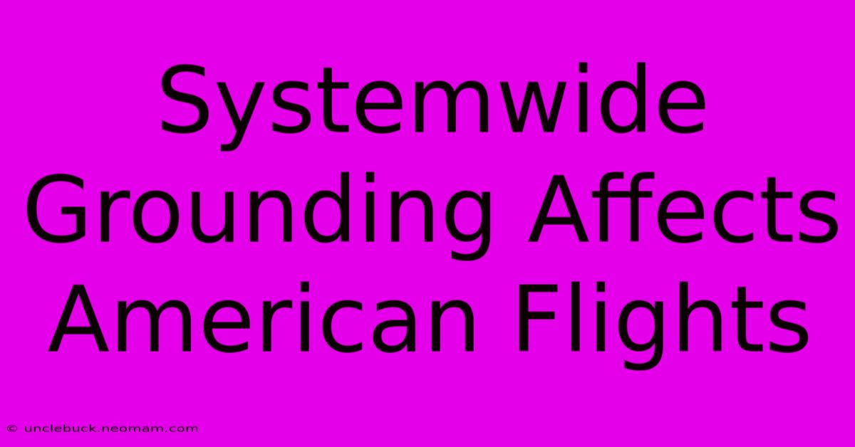 Systemwide Grounding Affects American Flights