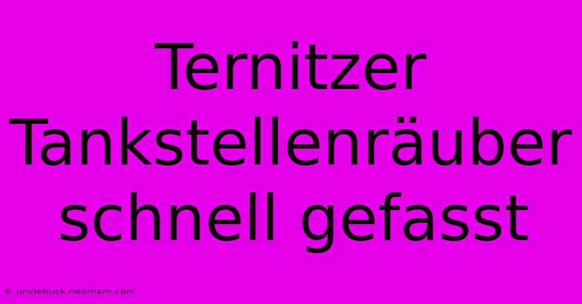 Ternitzer Tankstellenräuber Schnell Gefasst