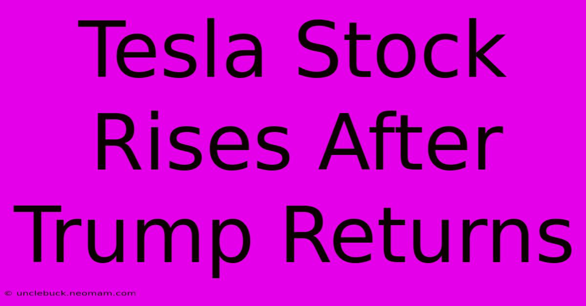 Tesla Stock Rises After Trump Returns