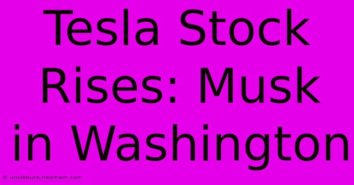 Tesla Stock Rises: Musk In Washington