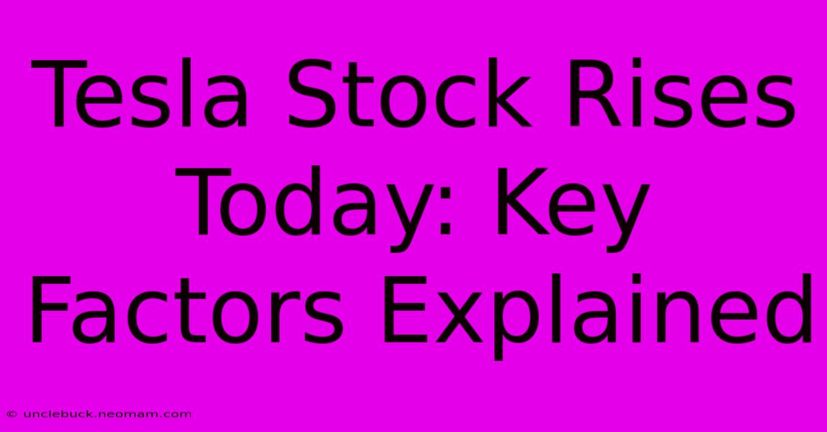 Tesla Stock Rises Today: Key Factors Explained