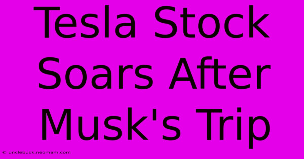 Tesla Stock Soars After Musk's Trip