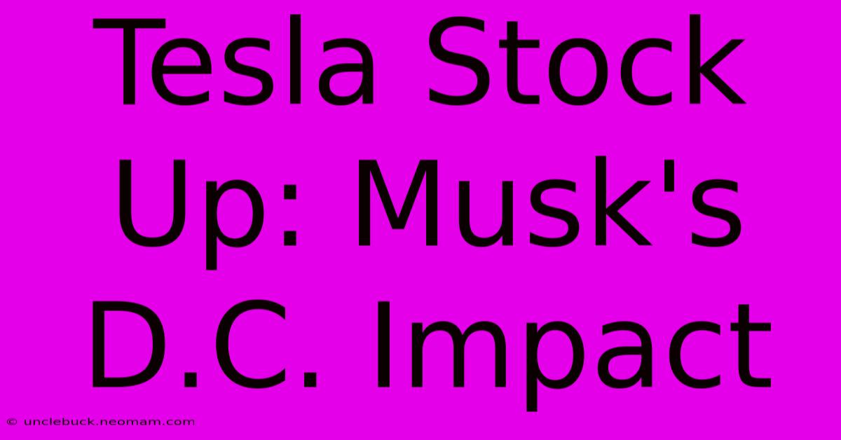 Tesla Stock Up: Musk's D.C. Impact 