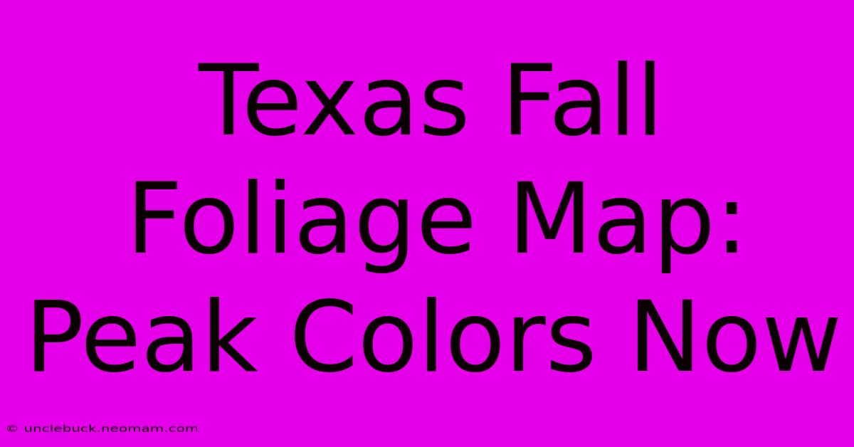 Texas Fall Foliage Map: Peak Colors Now