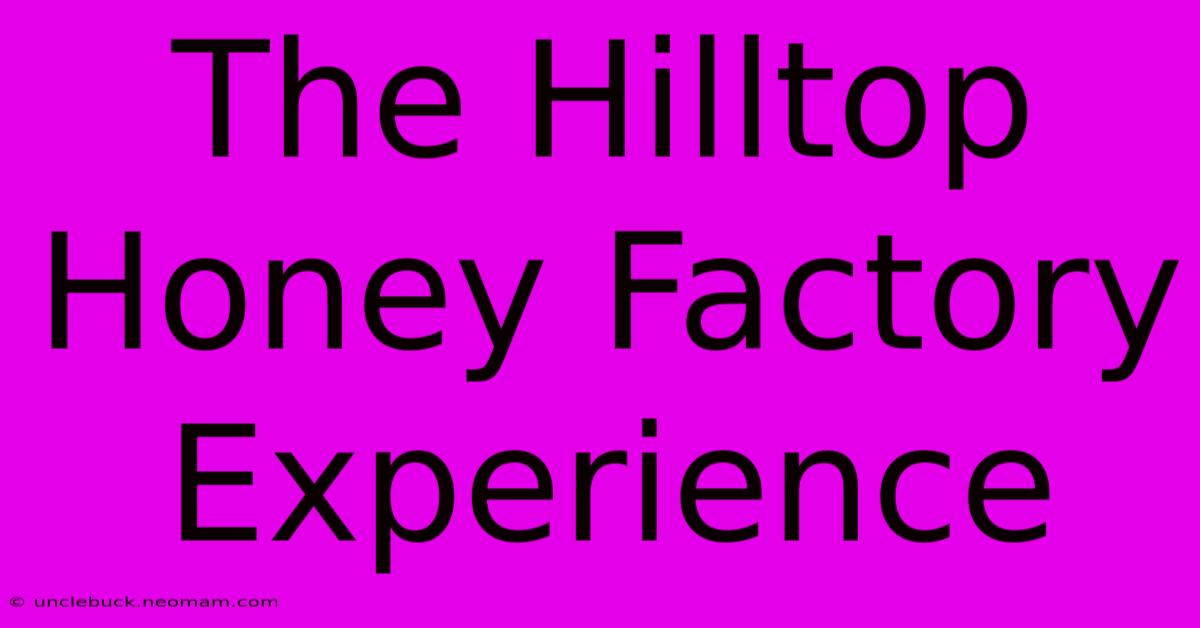 The Hilltop Honey Factory Experience