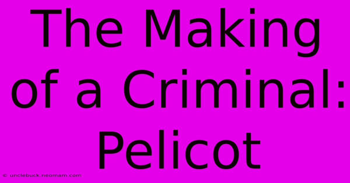 The Making Of A Criminal: Pelicot