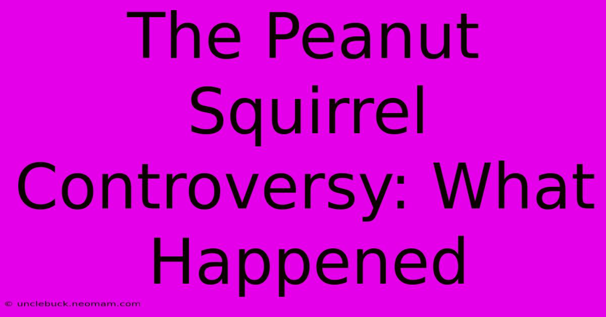 The Peanut Squirrel Controversy: What Happened