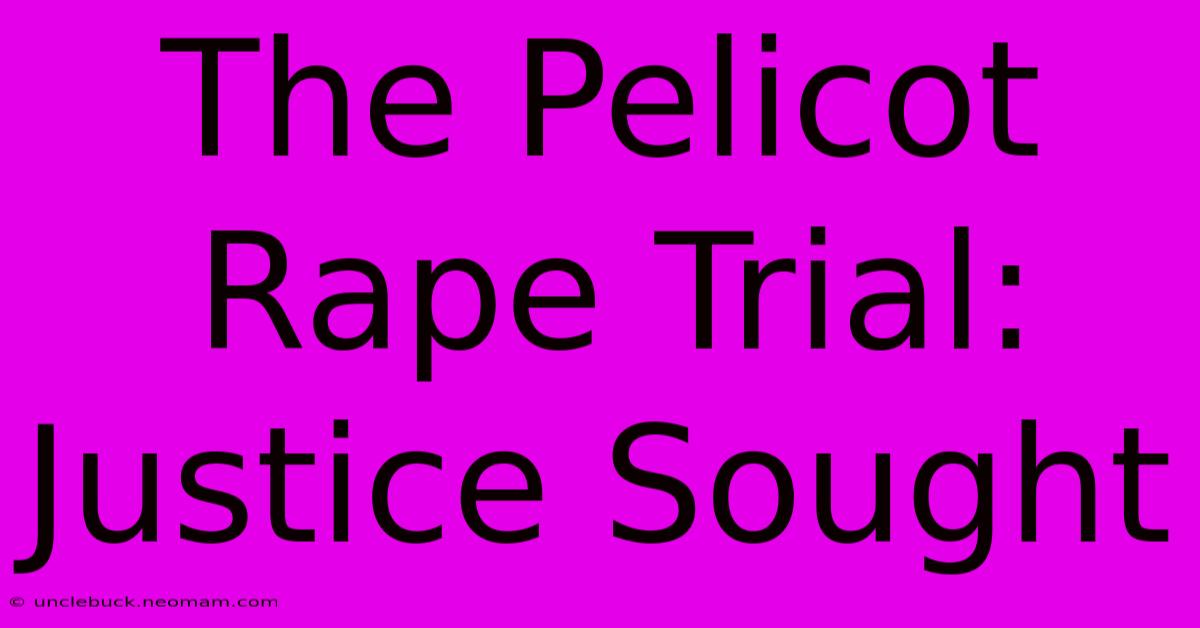 The Pelicot Rape Trial: Justice Sought