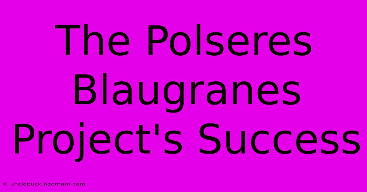 The Polseres Blaugranes Project's Success