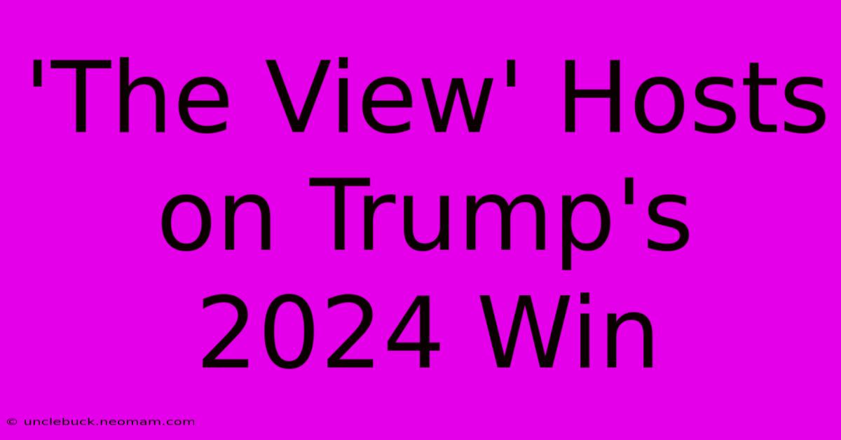 'The View' Hosts On Trump's 2024 Win