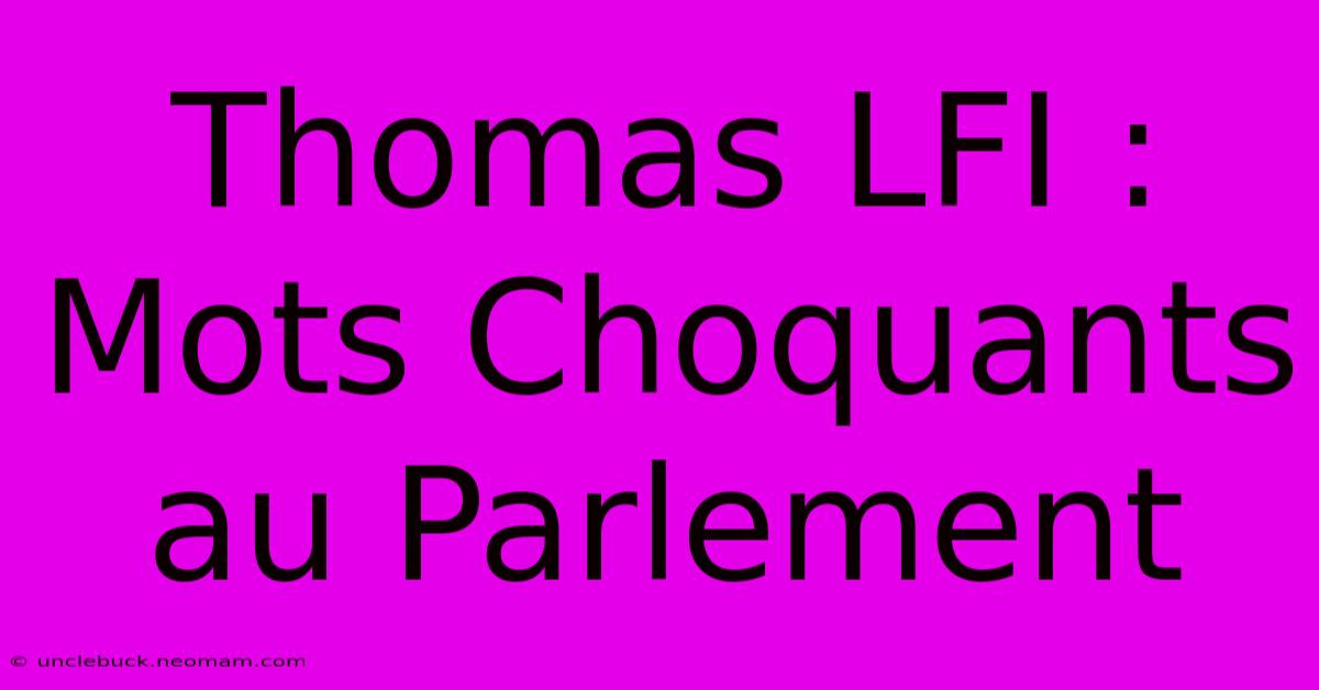 Thomas LFI : Mots Choquants Au Parlement 