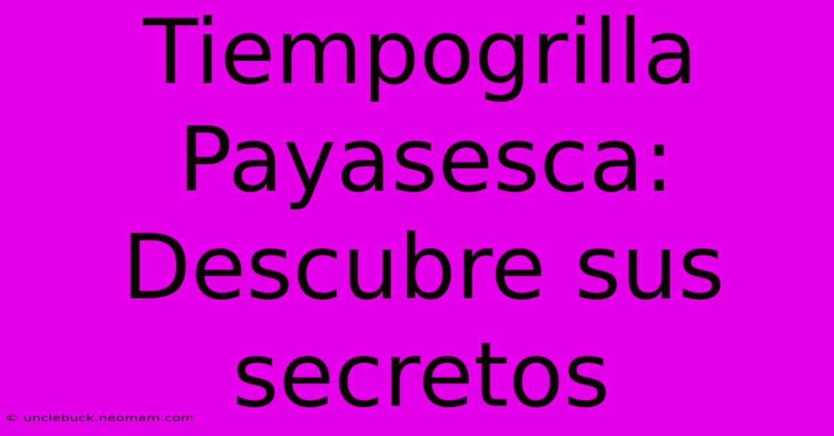 Tiempogrilla Payasesca: Descubre Sus Secretos