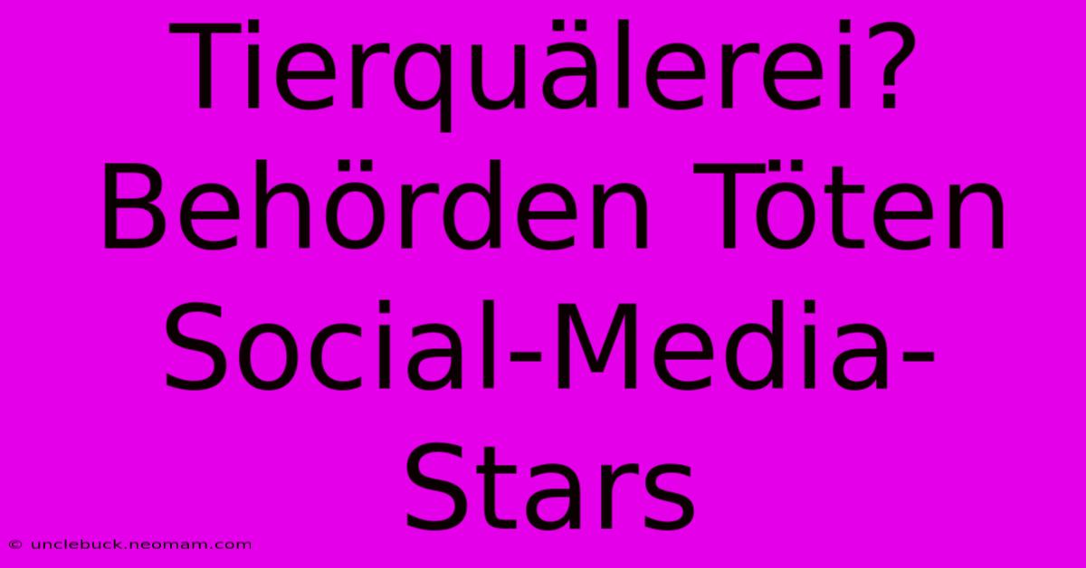 Tierquälerei? Behörden Töten Social-Media-Stars