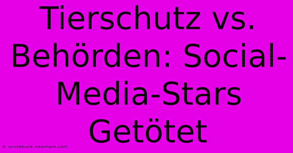 Tierschutz Vs. Behörden: Social-Media-Stars Getötet 