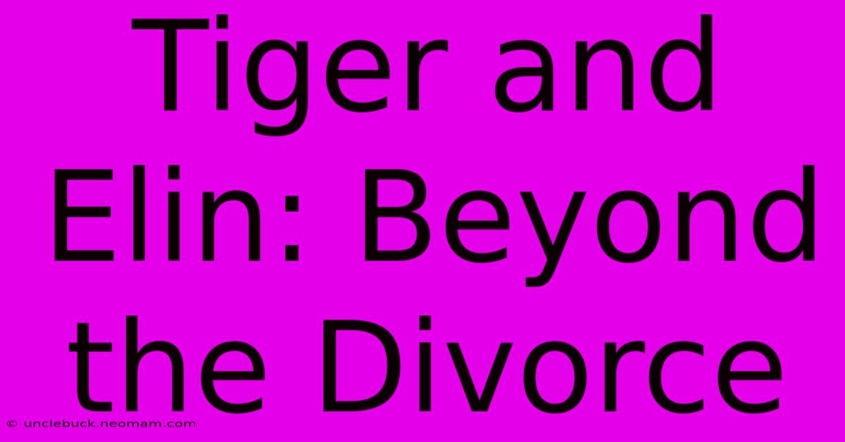 Tiger And Elin: Beyond The Divorce