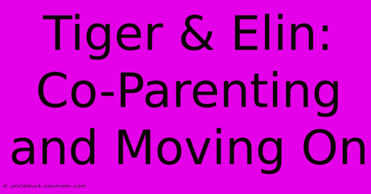 Tiger & Elin: Co-Parenting And Moving On