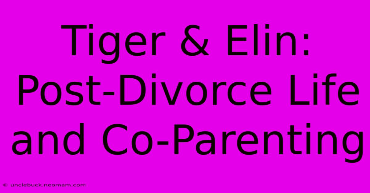 Tiger & Elin: Post-Divorce Life And Co-Parenting