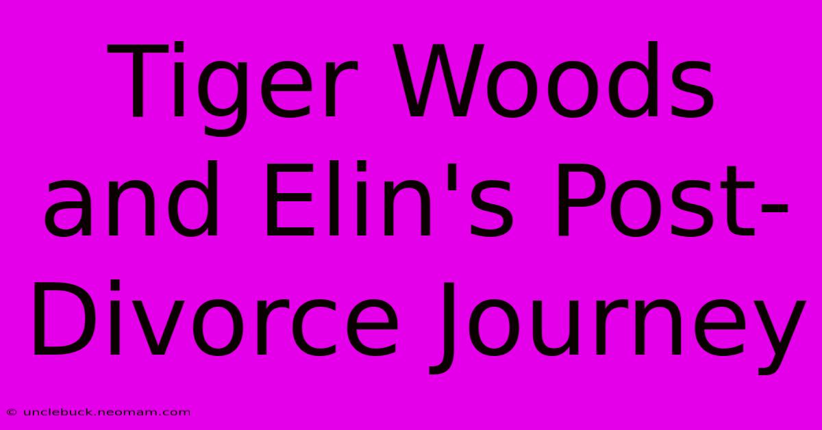 Tiger Woods And Elin's Post-Divorce Journey