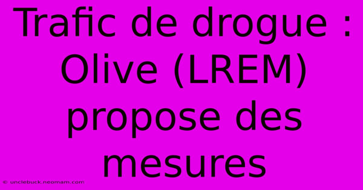 Trafic De Drogue : Olive (LREM) Propose Des Mesures