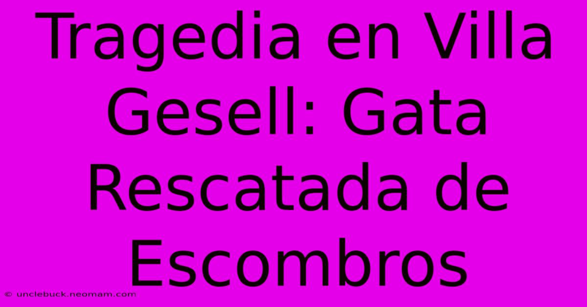 Tragedia En Villa Gesell: Gata Rescatada De Escombros