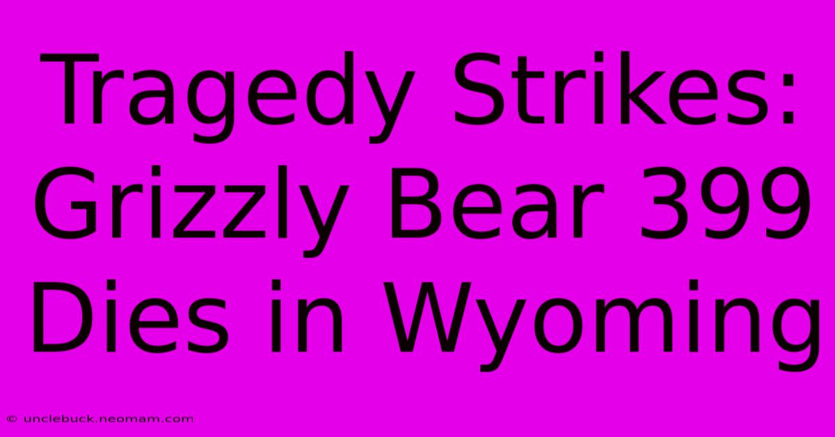 Tragedy Strikes: Grizzly Bear 399 Dies In Wyoming