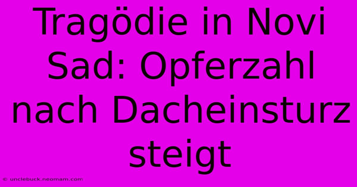 Tragödie In Novi Sad: Opferzahl Nach Dacheinsturz Steigt