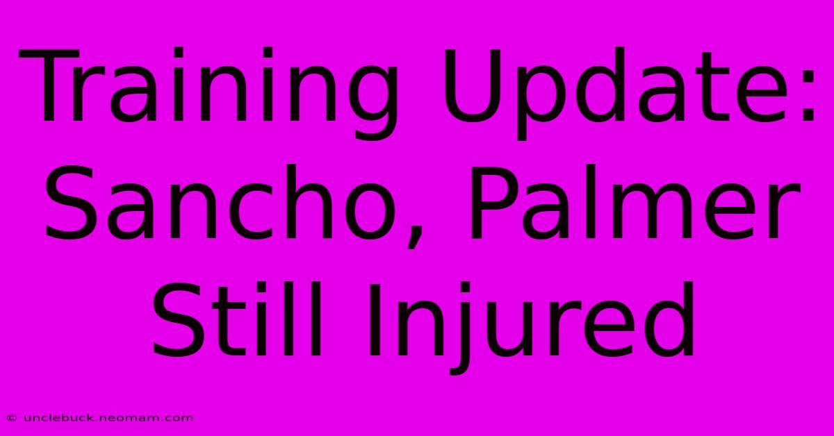 Training Update: Sancho, Palmer Still Injured 