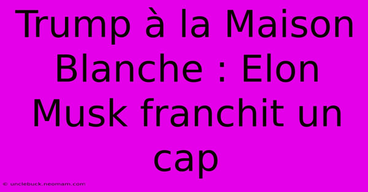 Trump À La Maison Blanche : Elon Musk Franchit Un Cap