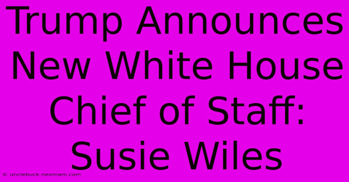 Trump Announces New White House Chief Of Staff: Susie Wiles