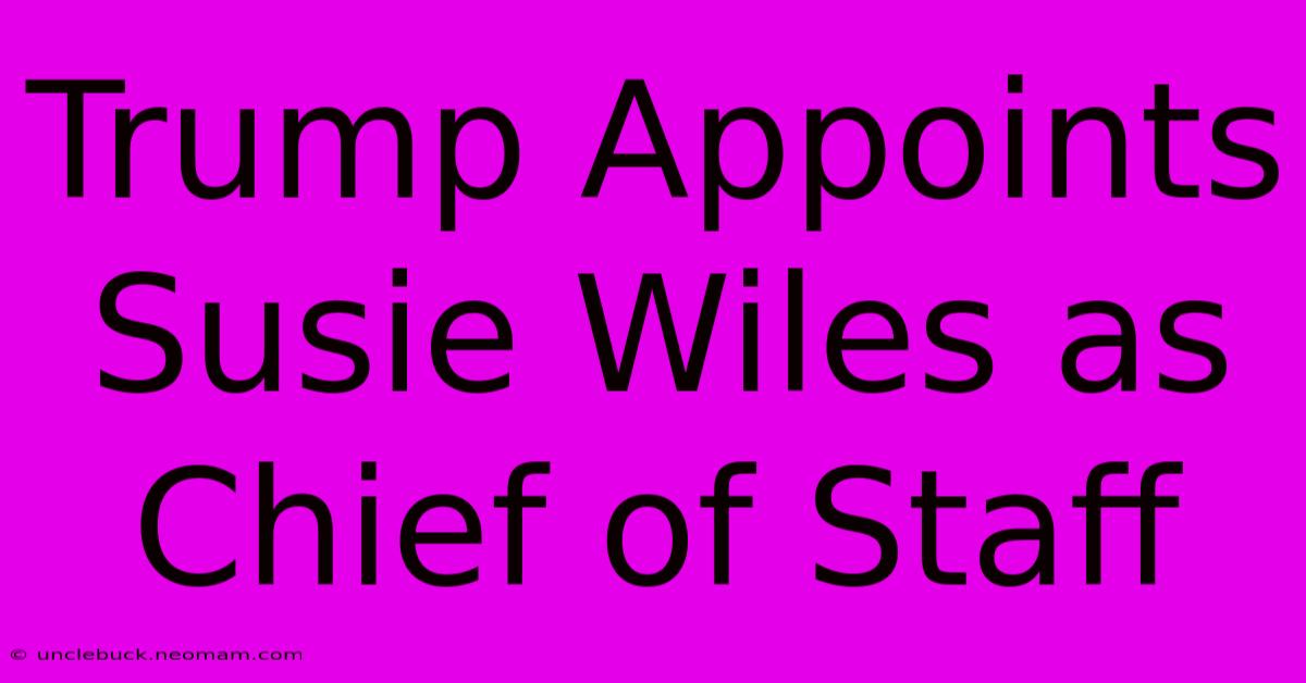 Trump Appoints Susie Wiles As Chief Of Staff 