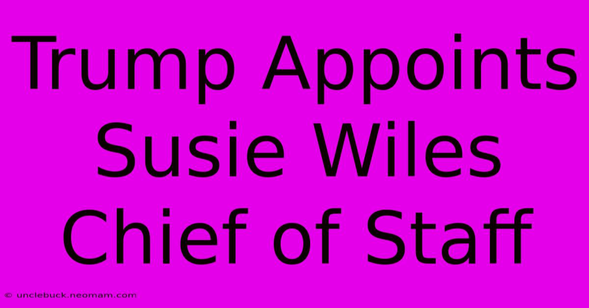 Trump Appoints Susie Wiles Chief Of Staff