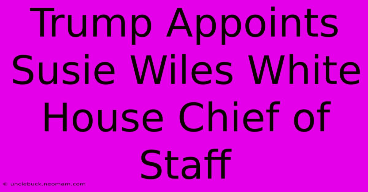 Trump Appoints Susie Wiles White House Chief Of Staff 