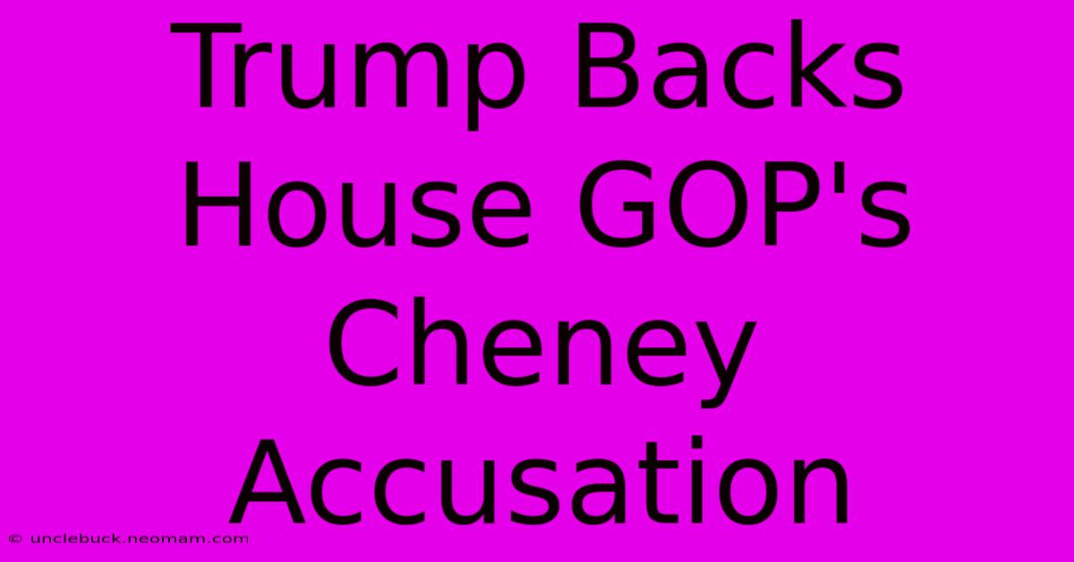 Trump Backs House GOP's Cheney Accusation