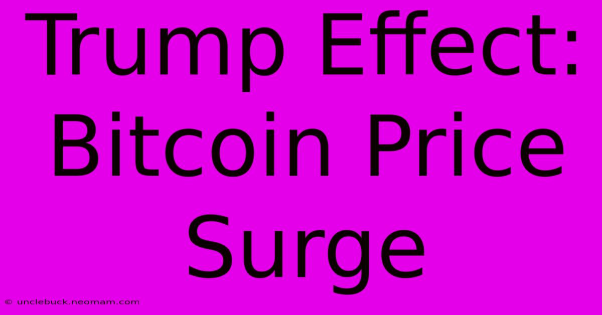 Trump Effect: Bitcoin Price Surge 