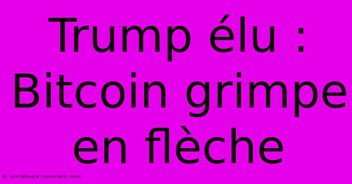 Trump Élu : Bitcoin Grimpe En Flèche